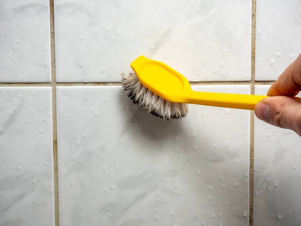 Best Mold Removal Specialists  in Brenham, TX