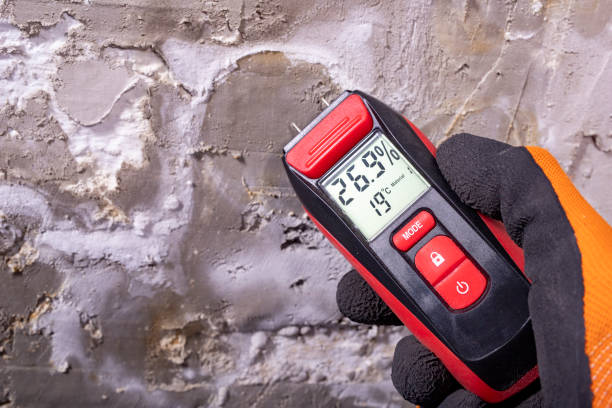 Best Water Damage Restoration  in Brenham, TX