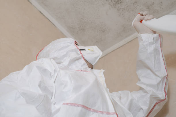 Best Mold Removal Near Me  in Brenham, TX